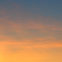 Yellow Sunset